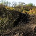 DSC_1122.jpg