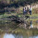 DSC_1139.jpg