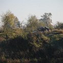 DSC_1179.JPG
