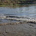 DSC_1228.JPG