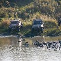 DSC_1230.jpg