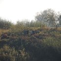 DSC_1237.JPG