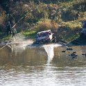 DSC_1239.jpg